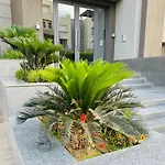 Omi Resdance Silver Palm