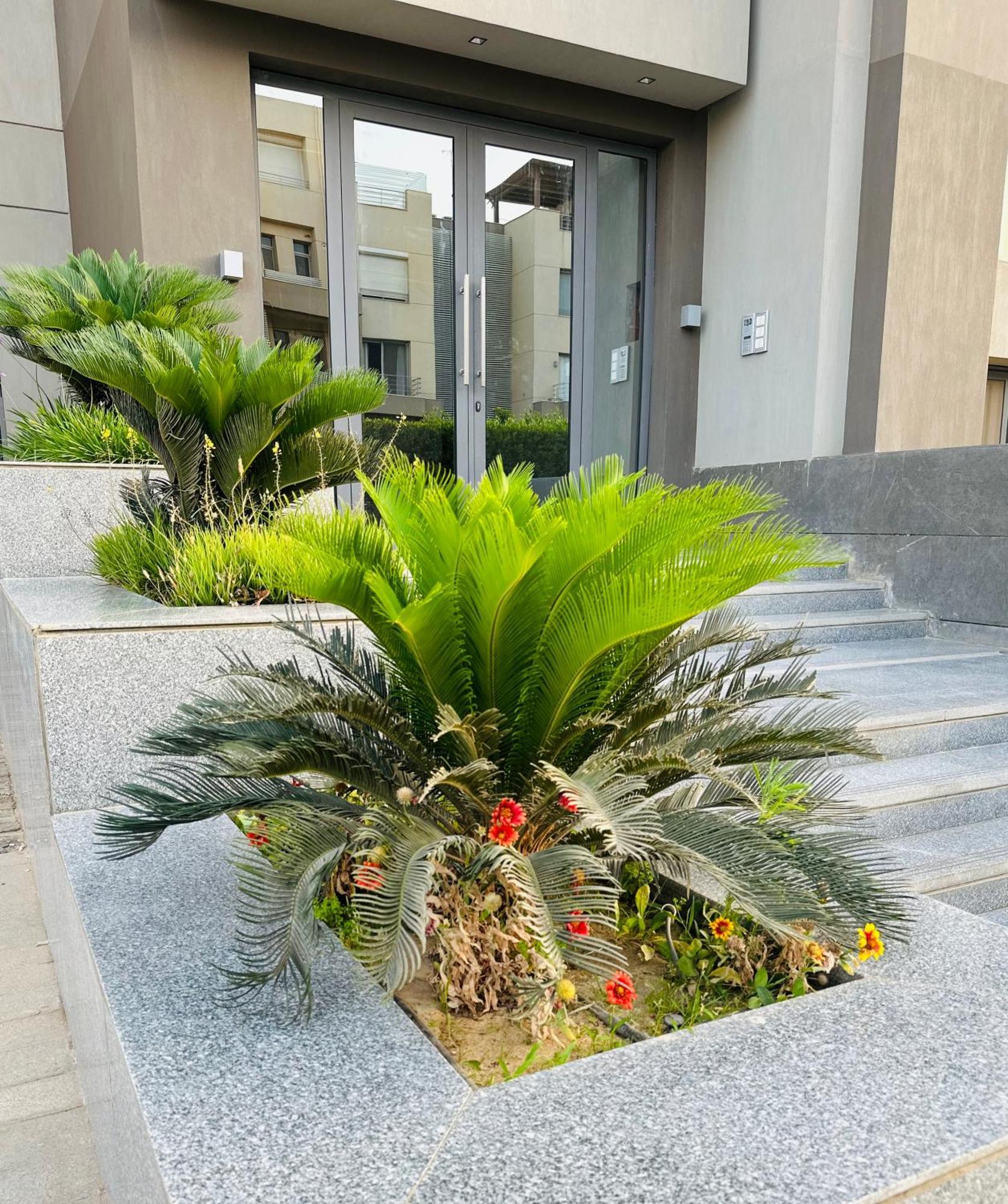Apartment Omi Resdance Silver Palm *